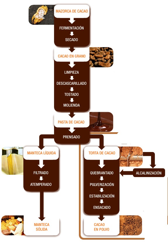 Chocolate Proceso del cacao